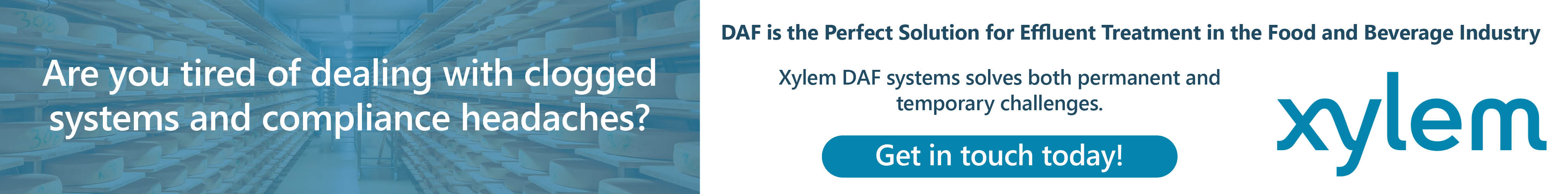 Xylem